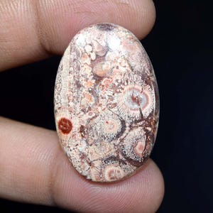 Jaspe oeil d'oiseau 31,65 cts. Cabochon ovale en jaspe oeil d'oiseau 100 % naturel, pierre précieuse en vrac, pour bijoux d'emballage métallique, pendentif en jaspe, bague