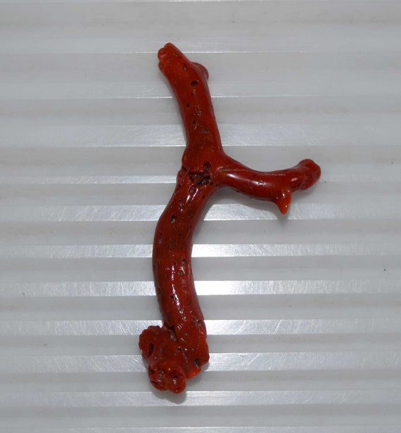 Branche De Corail Rouge Naturel D'Italie - Pierre Précieuse Opaque - Poids ~50 Carats