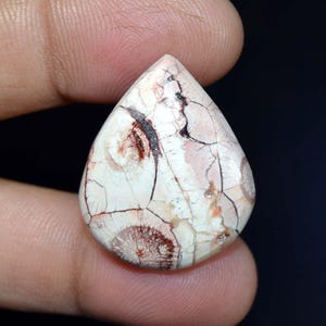 Jaspe oeil d'oiseau 27,15 cts. Cabochon poire jaspe oeil d'oiseau 100% naturel, pierre précieuse en vrac, pour bijoux d'emballage métallique, pendentif jaspe, bague