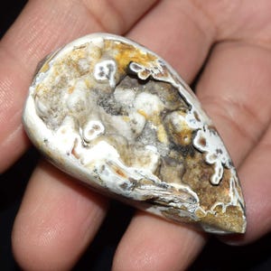 Natuurlijke fossiele slak Druzy-agaat | Handgepolijste schelp edelsteen | Sieraden maken, hanger, woondecoratie