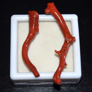 Natuurlijke Italiaanse rode koraal gepolijste koraal stick edelsteen, ruwe koraal stick, ruwe koraal boomtakken hanger maken, koraal sieraden 21,40 cts