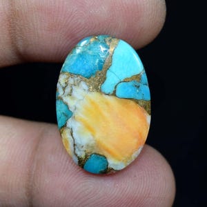 Cabochon di ostrica turchese da 18,80 ct / Pietra preziosa naturale / Pietra ovale sciolta per la creazione di gioielli