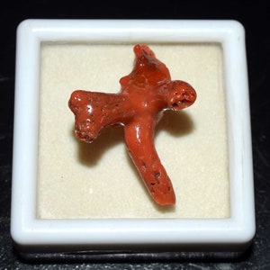 Piedra preciosa de coral rojo italiano natural pulido en forma de vara de coral, vara de coral en bruto, ramas de árbol de coral en bruto para hacer colgantes, joyería de coral de 19,25 cts