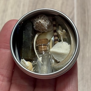 Teeny Tiny Treasures Tin, Itty Bitty Items, Vulture Culture, Oddities and Curiosities, Natural items, Bones and Crystals, Lot 3