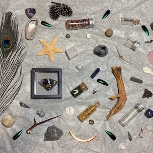 Oddity and Curiosity Lot, Curio Collection, Vulture Culture and Gems/Mineral/Rocks, Natural Finds