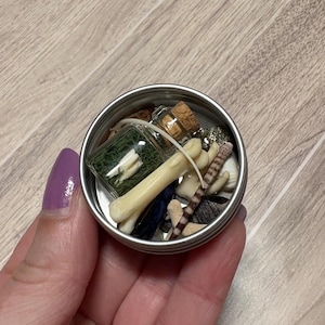 Teeny Tiny Treasures Tin, Itty Bitty Items, Vulture Culture, Oddities and Curiosities, Natural items, Bones and Crystals, Lot 2