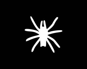 Spider Decal,Spider Stickers,Trick Or Treat Decal,Halloween Decal.Halloween Sticker,Fall Decal,Ghost Decal,Happy Halloween Decal,Cat Decals
