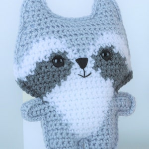 Raccoon Friend