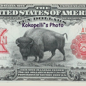 1901 *10 Dollar  U S Note Bison Buffalo *