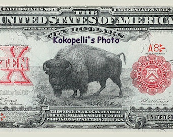 1901 *10 Dollar  U S Note Bison Buffalo *