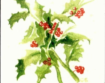 Aquifoliaceae *Fine Art Print of Original Watercolor Painting