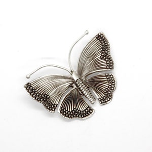 May include: A silver butterfly brooch with intricate details and a textured finish.