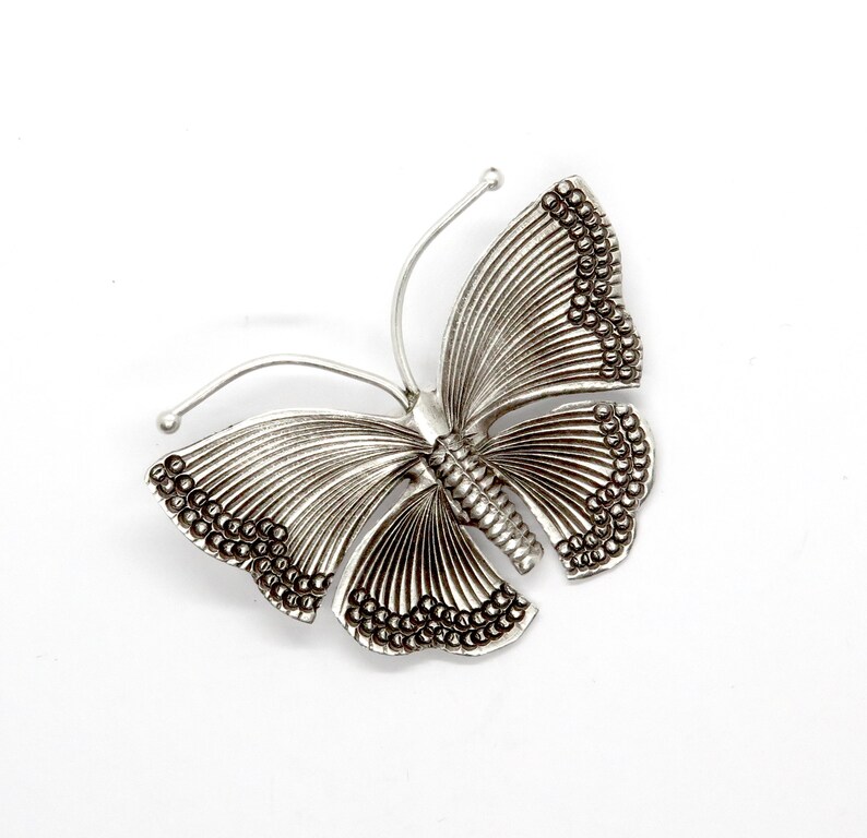 May include: A silver butterfly brooch with intricate details and a textured finish.
