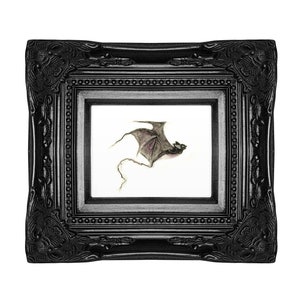 Vampire Bat Print | Vampire Art | Bat art | Vampire bat painting | Bat design | Gothic print | Macabre art | Vampire bat poster | Morvenna