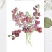 see more listings in the Greetings Cards section