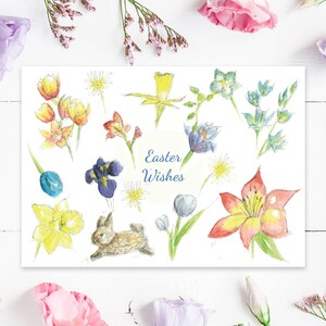Ostern Wünscht Frühlingsblumen mit Hasen Grußkarten | Ostergrußkarte, Osterhase, Osterkarte, Hase, Frühling, Ostern, Morvenna