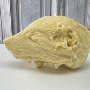 May include: A light beige, textured sculpture of an animal skull, possibly a bear or dog, with visible teeth and eye sockets. The skull is positioned on a white surface, with a blurred background of a white door.