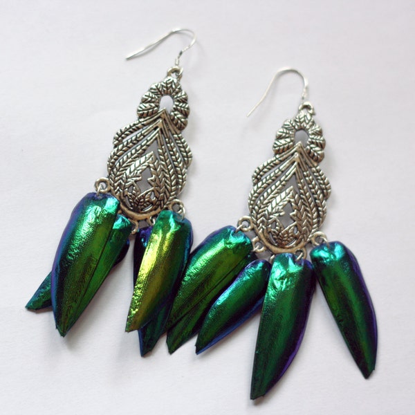 pair of real beetle wing earrings with sterling silver hooks