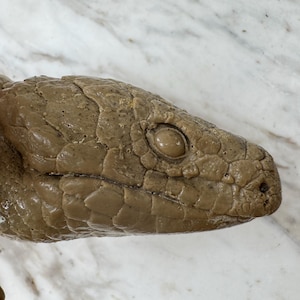 Op de afbeelding: Close-up van een gedetailleerde, getextureerde sculptuur van een reptielenkop. De sculptuur heeft een gedempte bruine kleur met een geschubd patroon en een prominent oog. De achtergrond is een wit en grijs marmerachtig oppervlak.