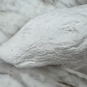May include: A white, textured sculpture of an animal head, possibly a bear or a similar mammal. The sculpture is mounted on a marble-like surface. The head is detailed with an eye, nose, and mouth, and the overall design is simple and elegant.