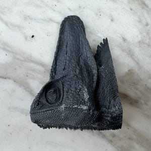 Op de afbeelding: Een gedetailleerde, donkergrijze kameleonskop met een getextureerde huid en een prominent oog. De kop van het reptiel is geplaatst op een lichtgekleurd, gemarmerd oppervlak, dat de ingewikkelde kenmerken en schubben laat zien.