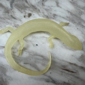 Op de afbeelding: Een doorschijnend, lichtgeel hagedisbeeldje met een getextureerd lichaam en gekrulde staart. Het reptiel heeft vier kleine poten en staat op een gemarmerd oppervlak. Het beeldje is een decoratief item.