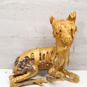 May include: A unique sculpture of a dog-like creature, with a spotted body and gold-colored material dripping over its form. The sculpture is posed in a seated position, with its legs extended. The background is a light gray.