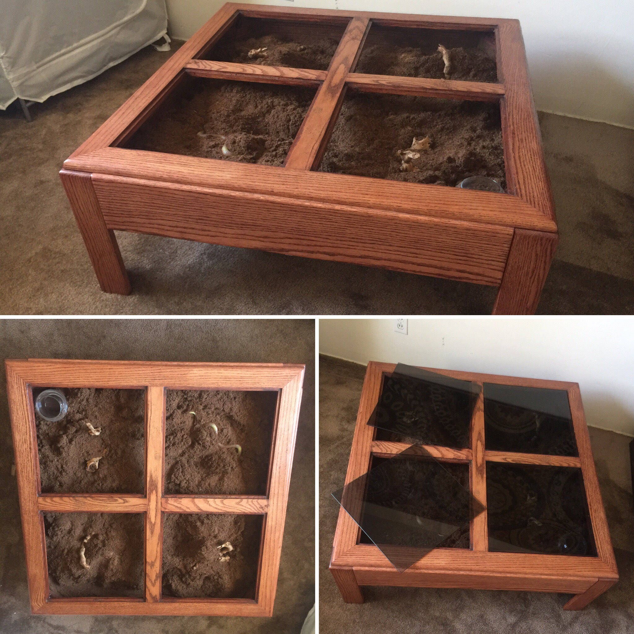 Upcycled Terrarium Coffee Table Light up Reptile Home Zen Garden Solid Red Oak Wood Tank for