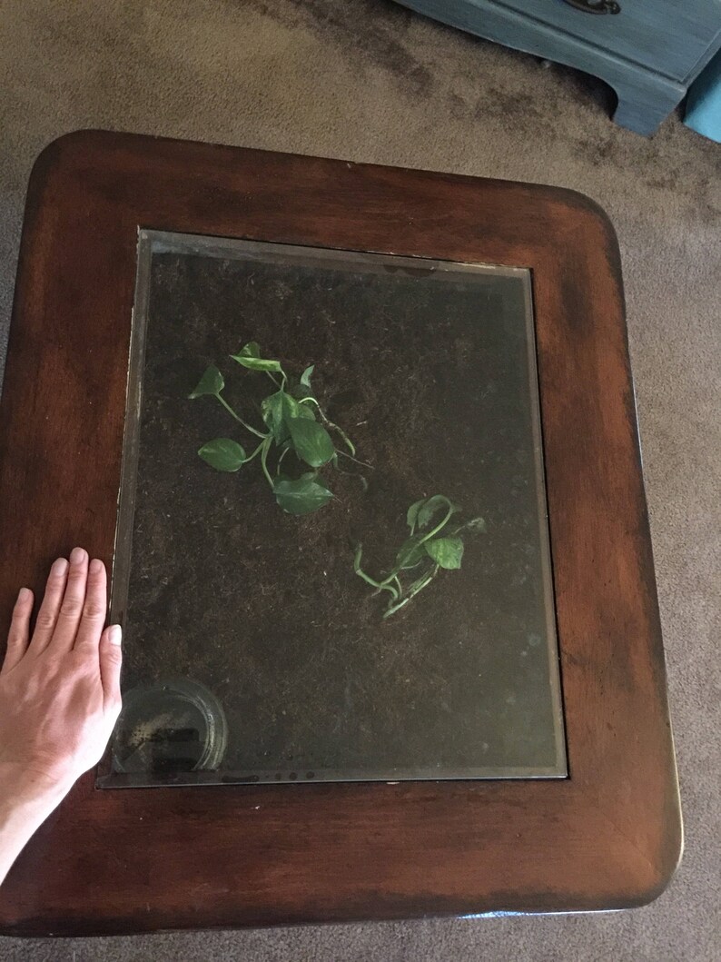 Op de afbeelding: Een donkerbruine houten salontafel met een glazen blad. Het glazen blad is helder en toont een kleine plant in een pot met groene bladeren die in de aarde groeien.