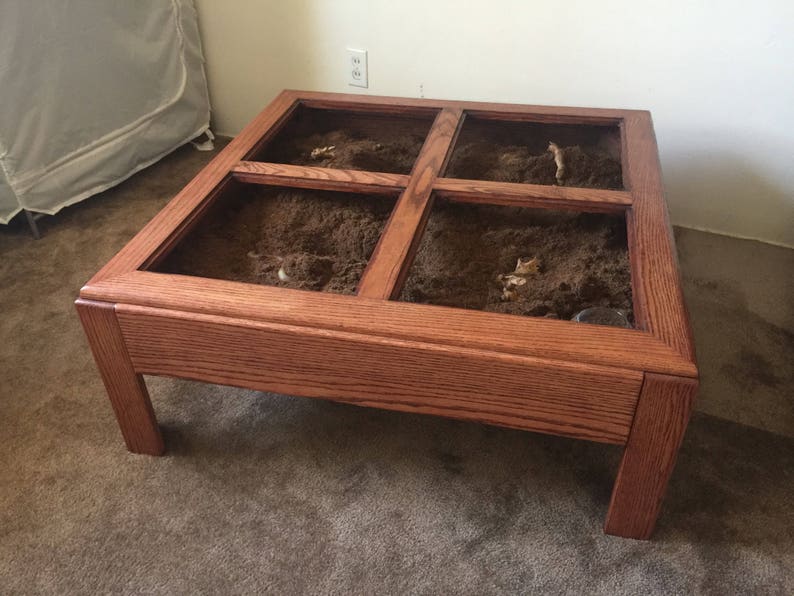 Upcycled Terrarium Coffee Table Light up Reptile Home Zen Garden Solid Red Oak Wood Tank for