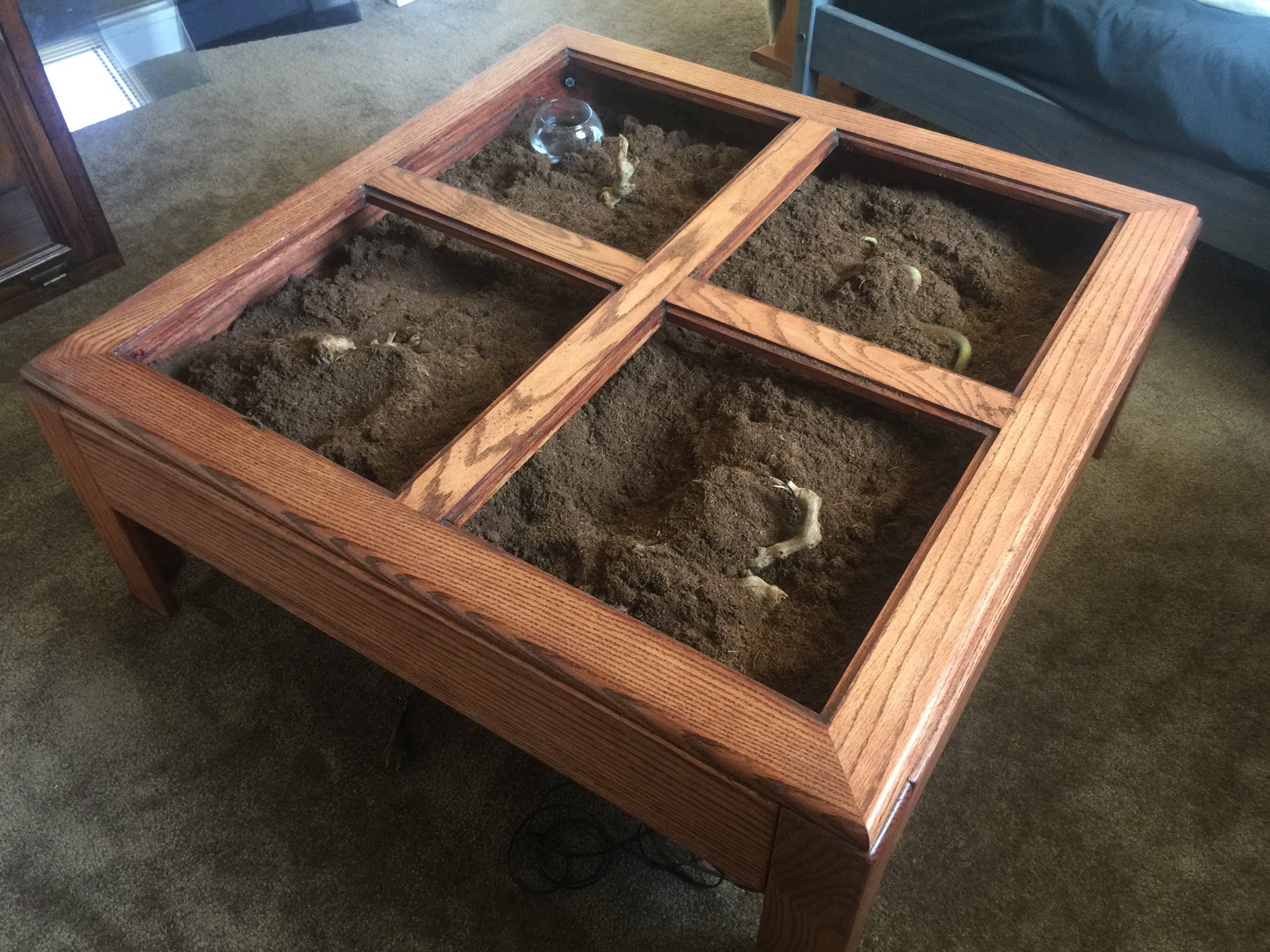 Gigi Clean - Tip of the Day Tuesday:Terrarium Table I'm seeing a lot of  this idea lately and I love it. Repurpose an old coffee table or side  table. You can make