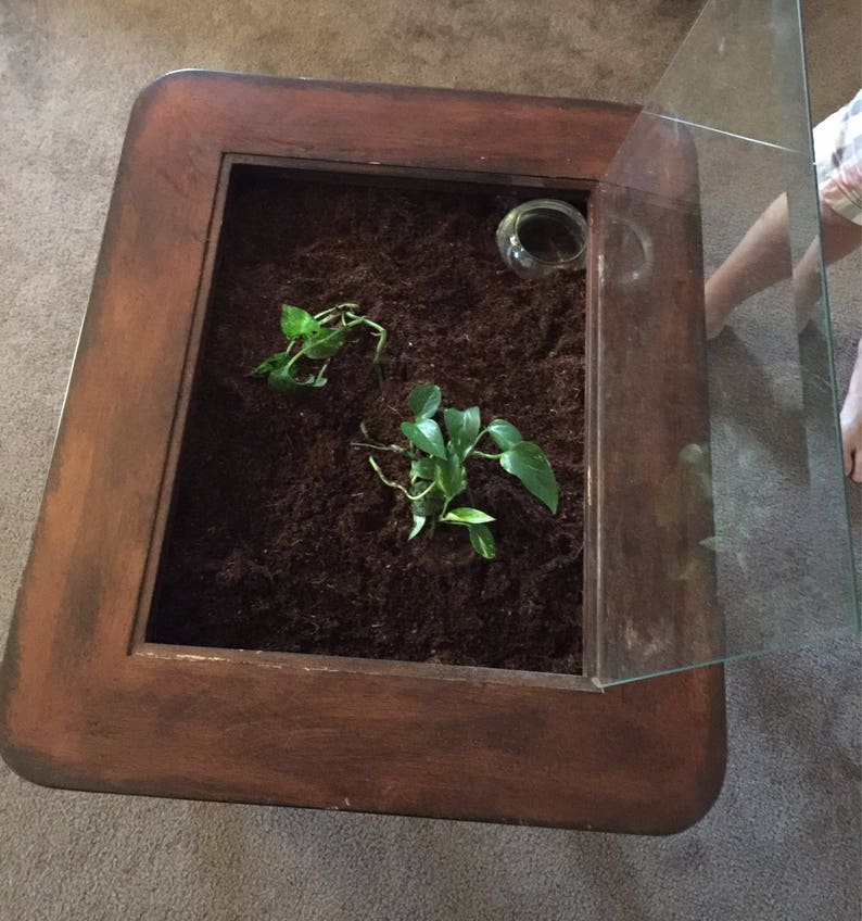 Terrarium End Table Reptile Home Zen Rock Garden custom Etsy