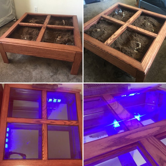 Terrarium table complete! Made out of clearance lumber and stuff I