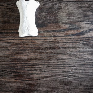Peut inclure: Un os blanc sur une surface en bois brun fonc&eacute;.