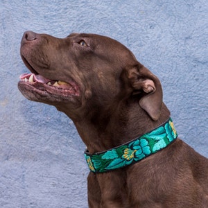 Leather Dog Collar, Unique Dog Collar, Strong dog collar, Woven Dog Collar, Gift Dog, Boy Dog, Girl Dog - Big Dog Collar - JDD2