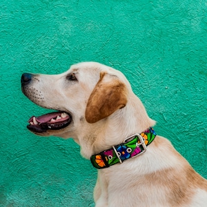 Leather Leather Dog Collar, Colorful Dog Collar, Floral Dog Collar, Unique dog collar, Strong Dog Collar, Gift for Pet - Flowers FSD1