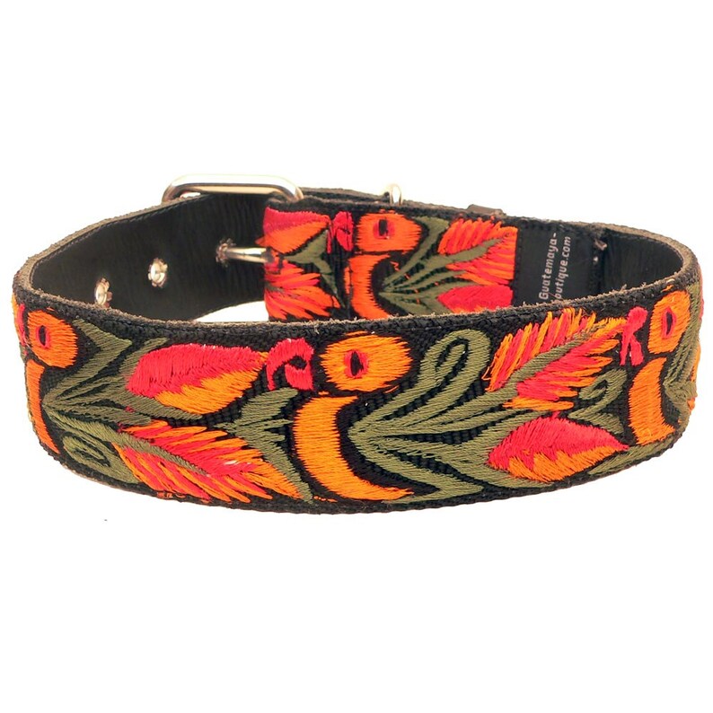 Leather Dog Collar Colorful Dog Collar Birds Dog Collar Etsy