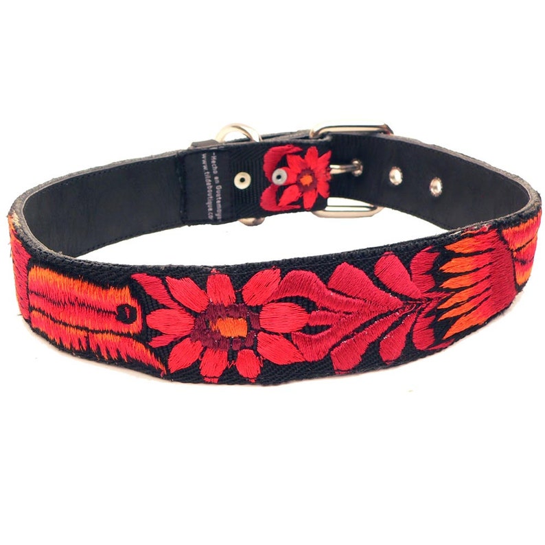 Leather Dog Collar Colorful Dog Collar Birds Dog Collar Red Etsy
