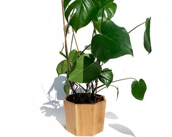 Geometric Octagon Solid Oak Plant Pot