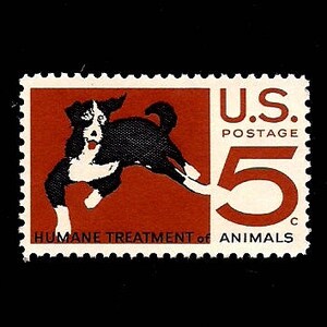 May include: A vintage US postage stamp featuring a black and white dog running with its tongue out. The stamp is red and white with the text "U.S. POSTAGE 5c HUMANE TREATMENT of ANIMALS".