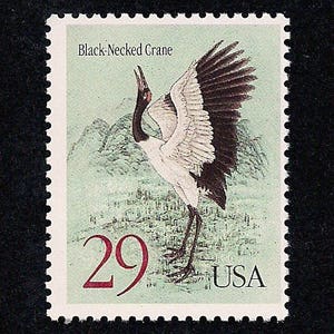 5 Black-Necked Crane Postage Stamps - Pack of (5) Vintage (Issued in 1994) Unused Original USPS Postage Stamps for U.S. Mail.