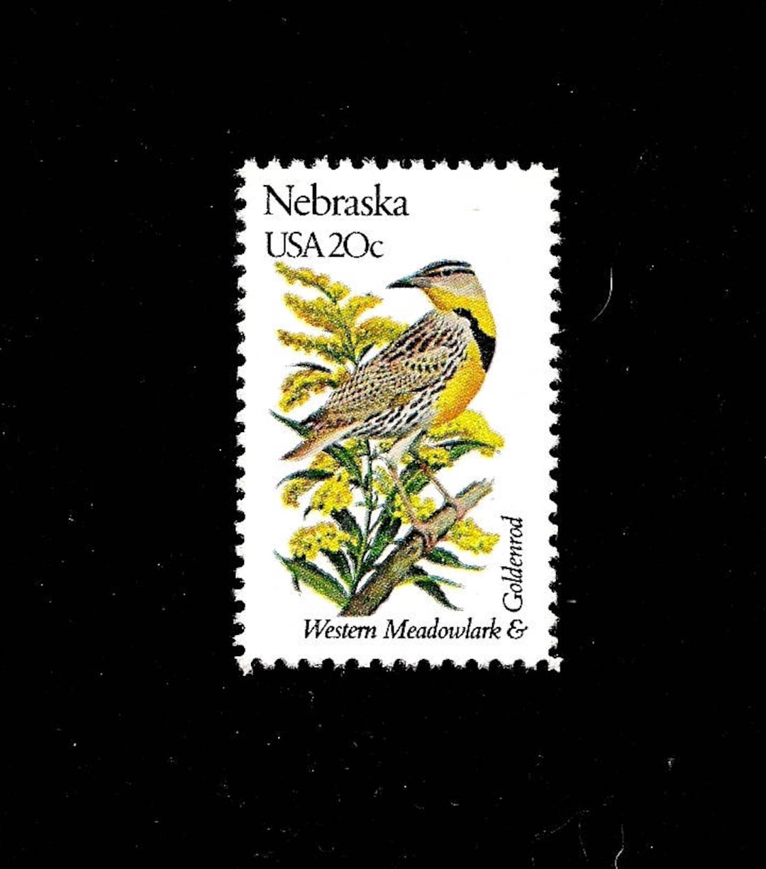 10 nebraska state bird and flower pack of 10 vintage issued in 1982