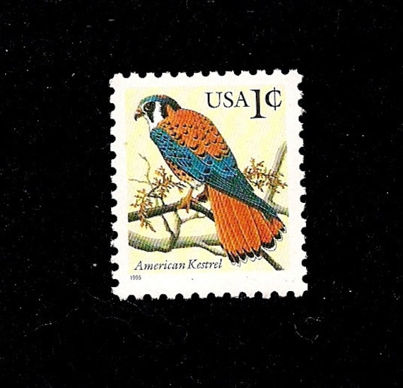 20 American Kestrel Postage Stamps - Pack of (20) Vintage
