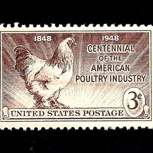 10 Brahma Chicken Postage Stamps - Pack of (10) Vintage (Issued in 1948) Poultry Industry Unused Original USPS Postage Stamps for U.S. Mail.