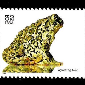 May include: A 32-cent United States postage stamp featuring a Wyoming toad, a green amphibian with brown spots, sitting on a reflective surface. The stamp is from 1989.