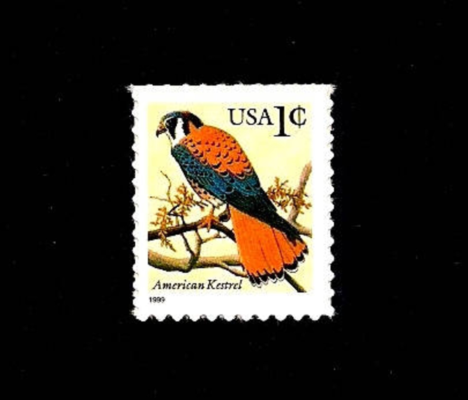 20 American Kestrel Pack of 20 Vintage issued in 1999 Unused U.S. Self