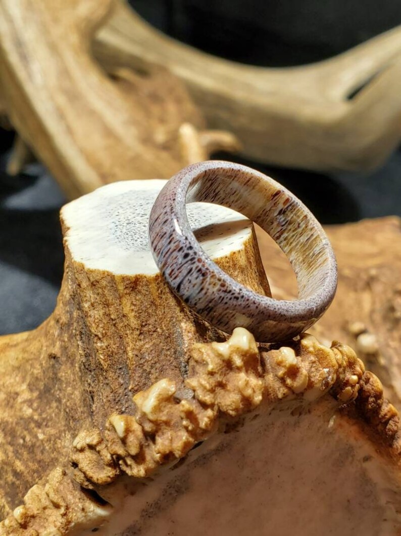 Elk Antler Ring Etsy