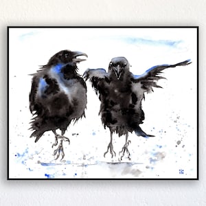 May include: Watercolour painting of two black crows with blue accents on a white background. One crow is standing with its wings spread out, while the other crow is standing with its wings tucked in.