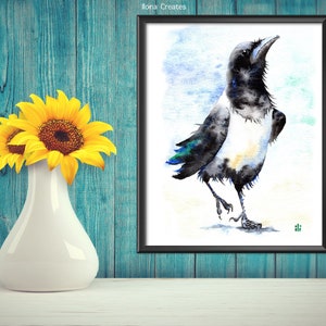 May include: Watercolor painting of a black and white crow with blue accents standing on a white background.