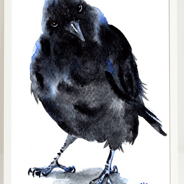 Watercolour Jackdaw Painting Print from Original by Ilona Winter